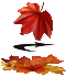 Forum ist ein externer Link