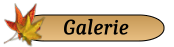 Galerie